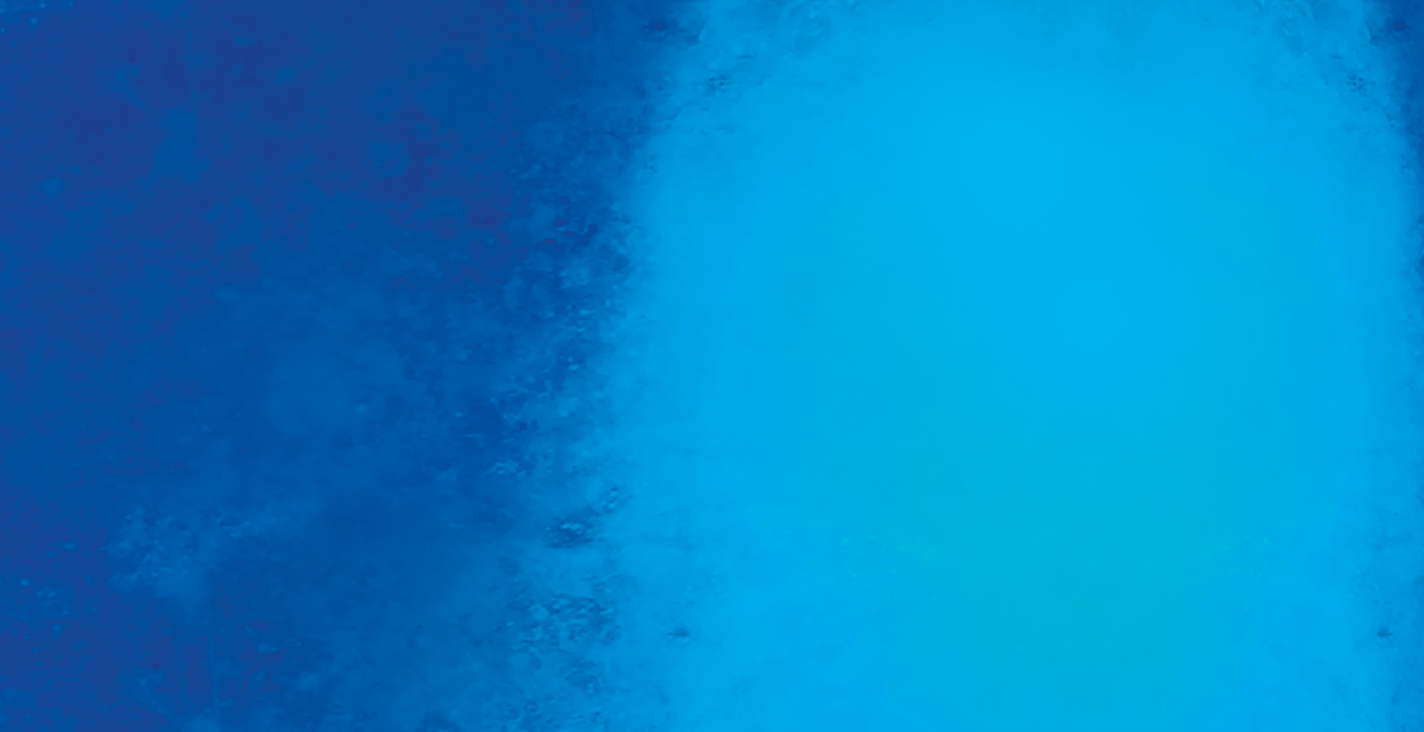 Main banner